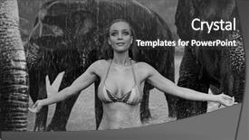  Presentation with elephant - Amazing presentation design having save birds - sensual blonde beauty posing backdrop and a dark gray colored foreground