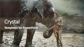  Presentation with beauty contest pageant - Presentation theme consisting of save birds - sensual blonde beauty posing background and a tawny brown colored foreground