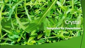  Presentation with download - Presentation theme having save download preview green fresh background and a shamrock green colored foreground