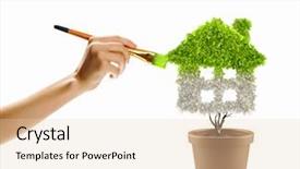  Presentation with house fly insect close up - Presentation theme featuring sliders with veggie tray on background and a yellow colored foreground