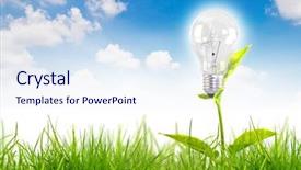  Presentation with light bulb - Amazing presentation theme having saving environment - eco concept -light bulb grow backdrop and a sky blue colored foreground