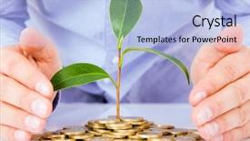  Presentation with money tree - PPT theme enhanced with saving money concept background and a light blue colored foreground