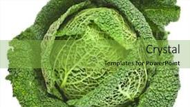  Presentation with cabbage - PPT layouts having savoy cabbage head isolated background and a seafoam green colored foreground