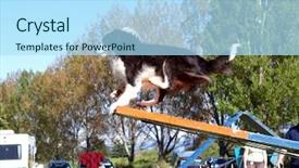  Presentation with agility - Colorful PPT theme enhanced with saw in an agility test backdrop and a arctic colored foreground