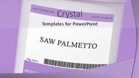  Presentation with saw palmetto - PPT theme with saw-palmetto-used-to-support background and a light blue colored foreground