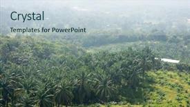  Presentation with oil palm plantation - Theme having biodiesel plant - aerial view of palm oil background and a sky blue colored foreground
