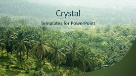  Presentation with oil palm plantation - Audience pleasing PPT layouts consisting of biodiesel plant - arial view of palm oil backdrop and a soft green colored foreground