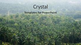  Presentation with palm plantation - Amazing slide set having biodiesel plant - arial view of palm plantation backdrop and a sky blue colored foreground