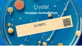  Presentation with parasite nematodes parasitic worms - PPT theme consisting of scabies-parasitic-infection-that-causes background and a ocean colored foreground