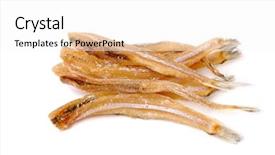  Presentation with fish - Beautiful PPT theme featuring scad fish - stockfish isolated on white background backdrop and a  colored foreground