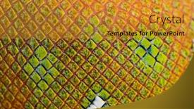  Presentation with juvenile - Presentation theme having scales-detail-of-juvenile-emerald background and a gold colored foreground