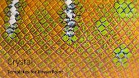  Presentation with juvenile - Slide set featuring scales-euro-of-juvenile-emerald background and a gold colored foreground