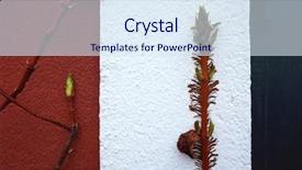  Presentation with ivy - Beautiful slide set featuring scania - ivy vegetation cling roots backdrop and a sky blue colored foreground