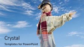  Presentation with sky blue - Slides consisting of scarecrow against the blue sky background and a light blue colored foreground