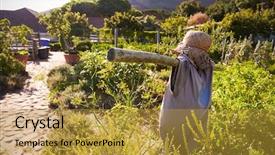  Presentation with grown - Cool new PPT theme with scarecrow amongst produce being grown backdrop and a gold colored foreground