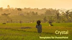  Presentation with rice fields - Presentation theme enhanced with scarecrow in terrace rice fields background and a tawny brown colored foreground