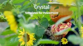  Presentation with vegetable garden - PPT layouts with abound - green lemons hanging on tree background and a tawny brown colored foreground