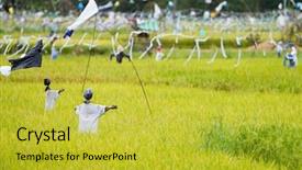  Presentation with rice field - Amazing slide set having scarecrows on rice field backdrop and a yellow colored foreground