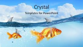  Presentation with goldfish - Amazing theme having scared goldfish - gold fish with shark flip backdrop and a light blue colored foreground