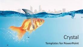  Presentation with goldfish - Theme having scared goldfish - gold fish with shark flip background and a light blue colored foreground