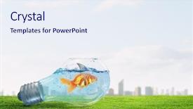  Presentation with goldfish - Theme with scared goldfish - gold fish with shark flip background and a  colored foreground