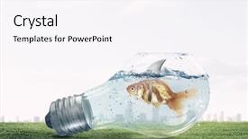  Presentation with shark - Audience pleasing theme consisting of scared goldfish - gold fish with shark flip backdrop and a sky blue colored foreground