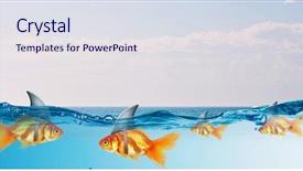  Presentation with goldfish - Cool new presentation with scared goldfish - gold fish with shark flip backdrop and a sky blue colored foreground