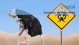  Presentation with hazard - Presentation theme consisting of scared-ostrich-with-head background and a light blue colored foreground