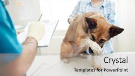  Presentation with sick dog - Cool new presentation design with scared sick dog keeping his backdrop and a mint green colored foreground