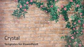  Presentation with brick wall - Theme consisting of scarlet - bush climbing rose background and a coral colored foreground