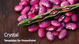  Presentation with beans - Cool new slides with scarlet running beans - pod flower backdrop and a tawny brown colored foreground