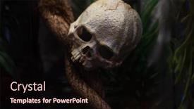  Presentation with scary halloween - Presentation design featuring scary-human-skull-for-halloween background and a wine colored foreground