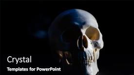  Presentation with scary halloween - PPT theme enhanced with scary-human-skull-horror-halloween background and a black colored foreground