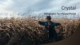  Presentation with scary halloween - PPT layouts featuring scary scarecrow in a hat background and a light blue colored foreground