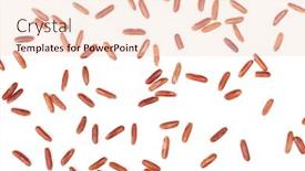  Presentation with brown rice - Audience pleasing presentation theme consisting of scattered seeds of raw dry brown rice isolated on white background backdrop and a lemonade colored foreground