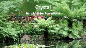  Presentation with terra - Presentation featuring scenary - terra nostra park furnas azores background and a  colored foreground