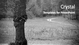  Presentation with rural road - Amazing slide deck having scene - old tree and road backdrop and a  colored foreground