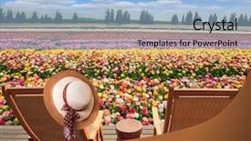  Presentation with gaza - Amazing presentation having scene 1 scene 2 - two convenient chaise lounges stand backdrop and a light blue colored foreground