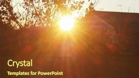  Presentation with scene - Audience pleasing PPT theme consisting of scene at sunset with tree backdrop and a  colored foreground