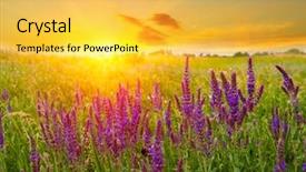  Presentation with sun star - Colorful slide deck enhanced with scene in steppe on sun backdrop and a  colored foreground