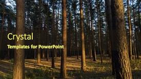  Presentation with sun - Amazing presentation having scene-in-the-forest backdrop and a wine colored foreground