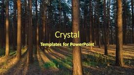  Presentation with sun - Slide set with scene-in-the-forest background and a tawny brown colored foreground