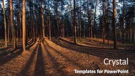  Presentation with sun - Beautiful slide set featuring scene-in-the-forest backdrop and a tawny brown colored foreground