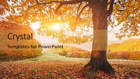 Presentation with earth tone - Slides having scene red and yellow leaves background and a yellow colored foreground