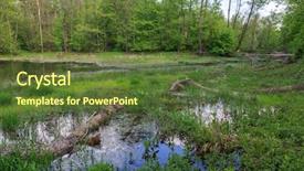  Presentation with scene - Theme featuring scene with bog in green background and a tawny brown colored foreground