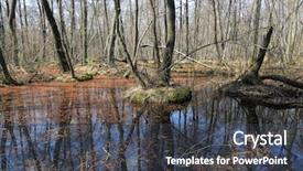  Presentation with flood - Beautiful slide set featuring scene with flooded forest backdrop and a dark gray colored foreground