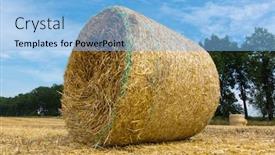  Presentation with agricultural - Beautiful slide set featuring scene-with-hay-rolls backdrop and a light blue colored foreground