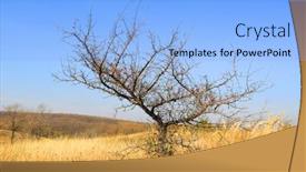  Presentation with autumn blue - Beautiful PPT theme featuring scene-with-leafless-tree backdrop and a light blue colored foreground