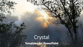  Presentation with forest morning - Beautiful presentation theme featuring scene-with-morning-sunshine-over backdrop and a tawny brown colored foreground