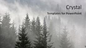  Presentation with forest morning - Audience pleasing PPT theme consisting of scene with pine forest in morning fog backdrop and a light gray colored foreground